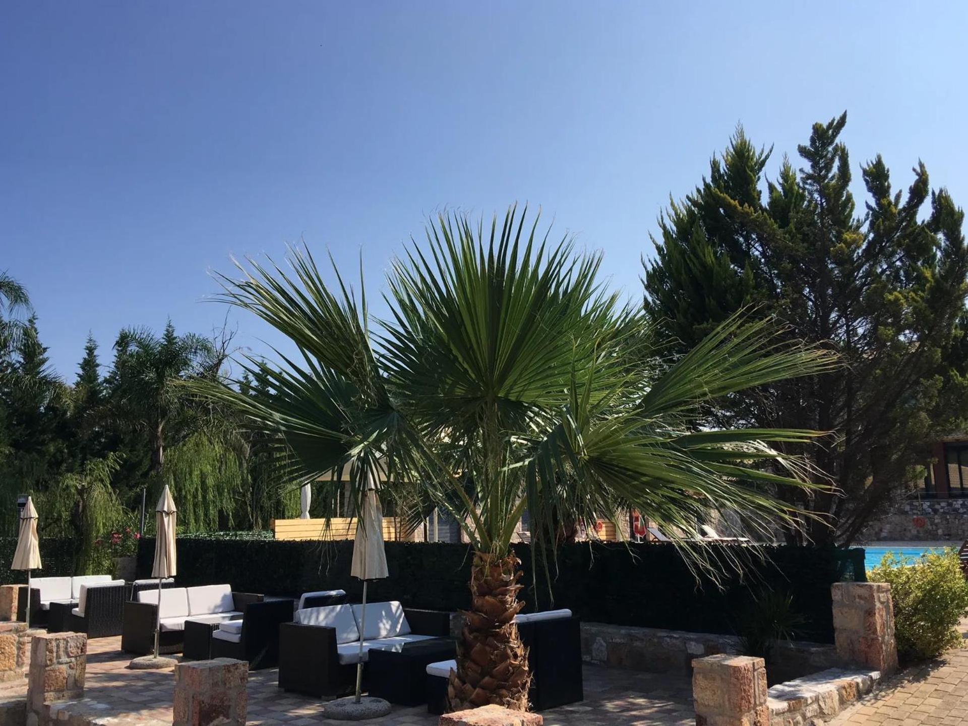 Almyra Village Hotel Edipsos