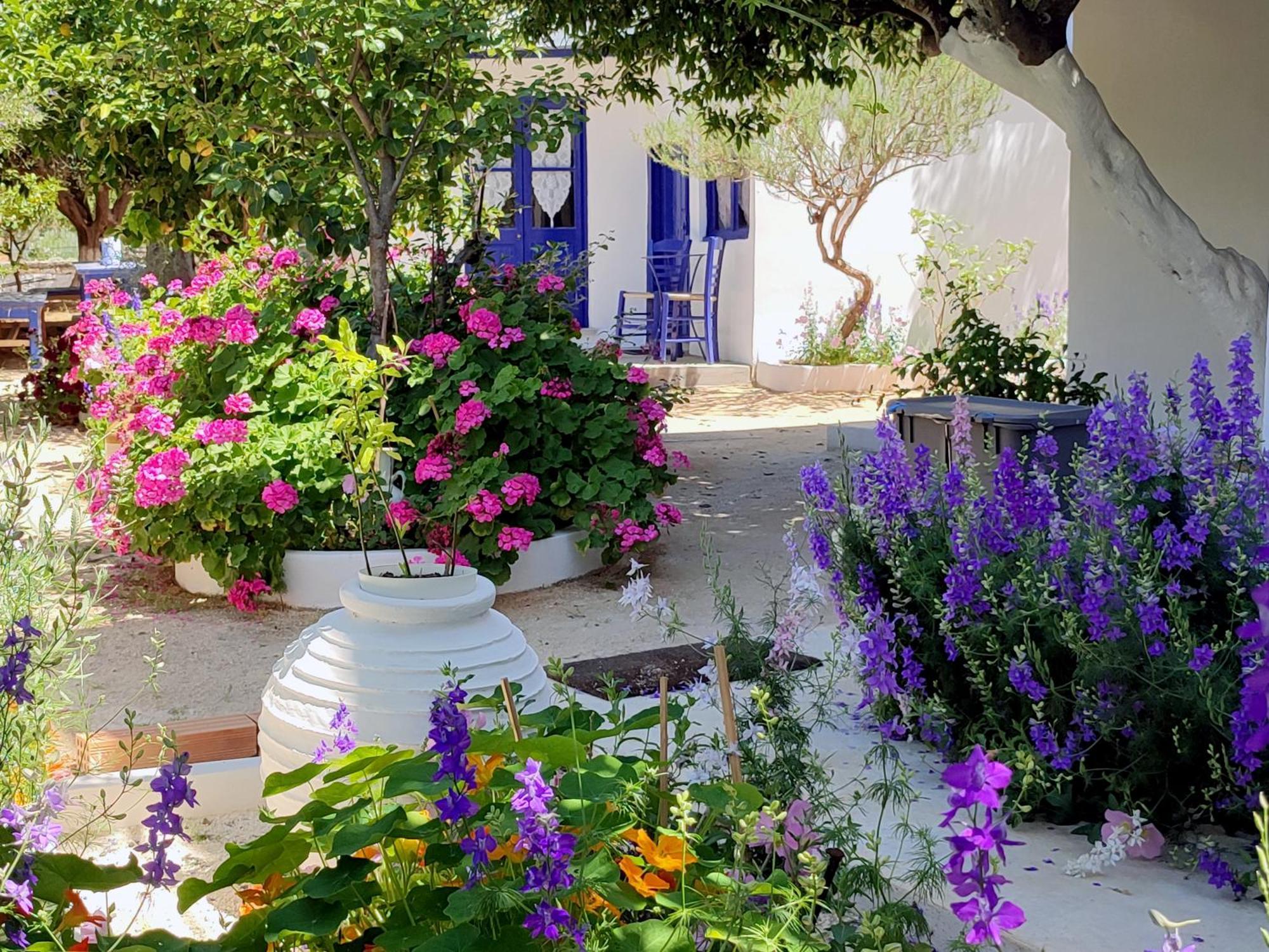 Anticlea Ii Holiday home *