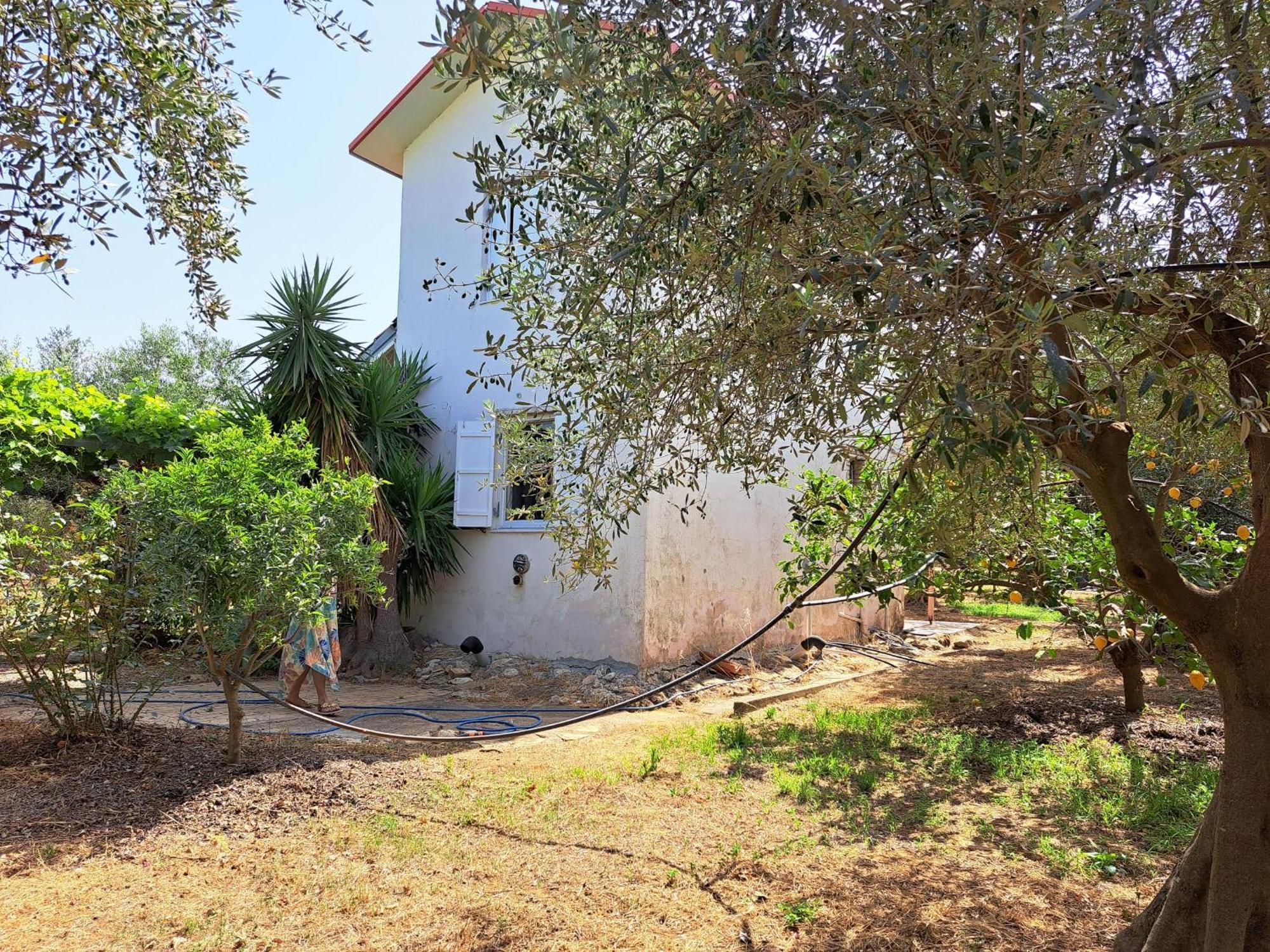 Octopus Holiday home Agios Ilias (Elis)