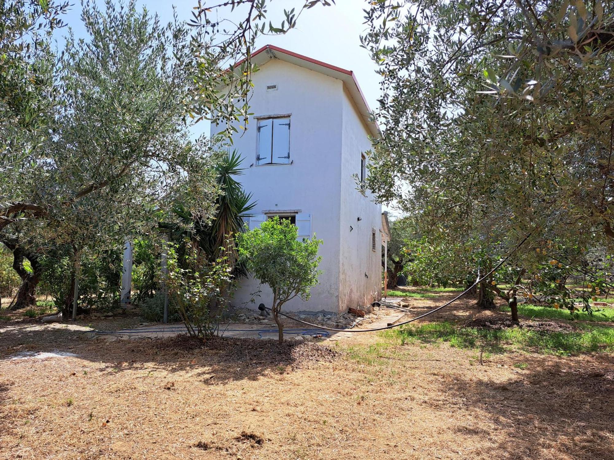Holiday home Octopus Agios Ilias (Elis)