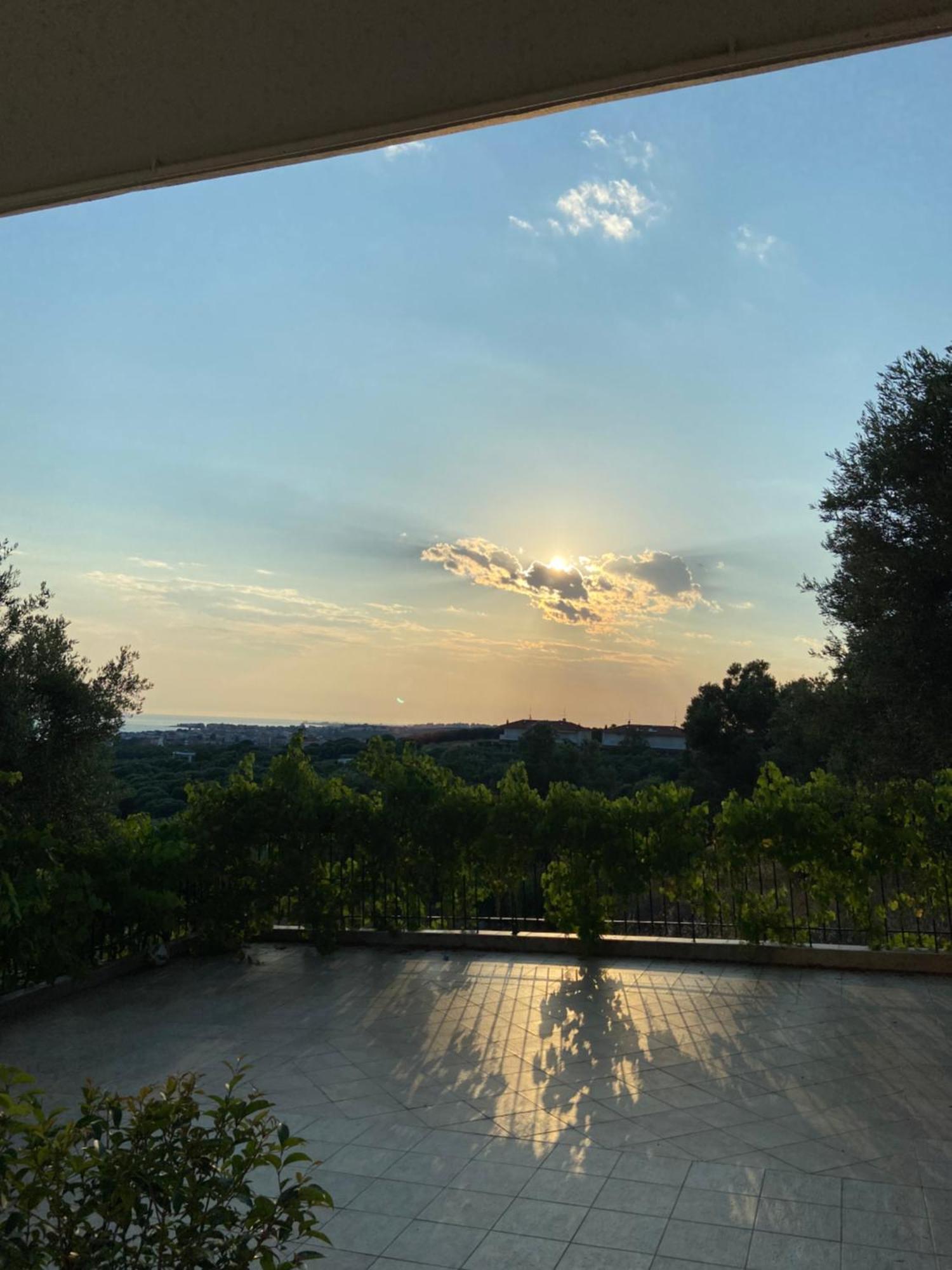 Olive&view Apartment *