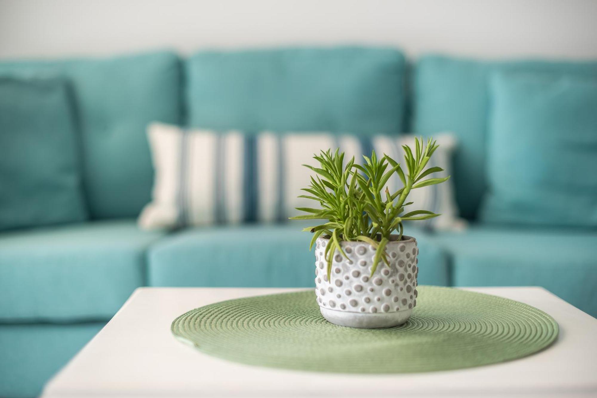 Dipejo Luxurious Penthouse Lycabettus Hill View Very Close To Syntagma Square And Kolonaki Apartment *