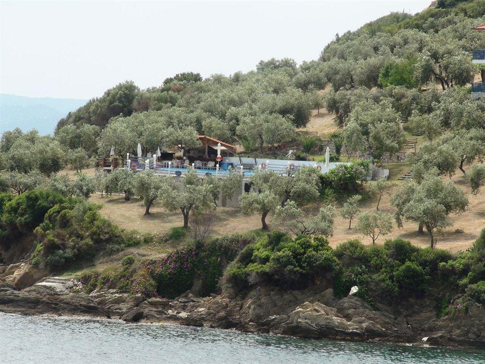 Assa Apartment