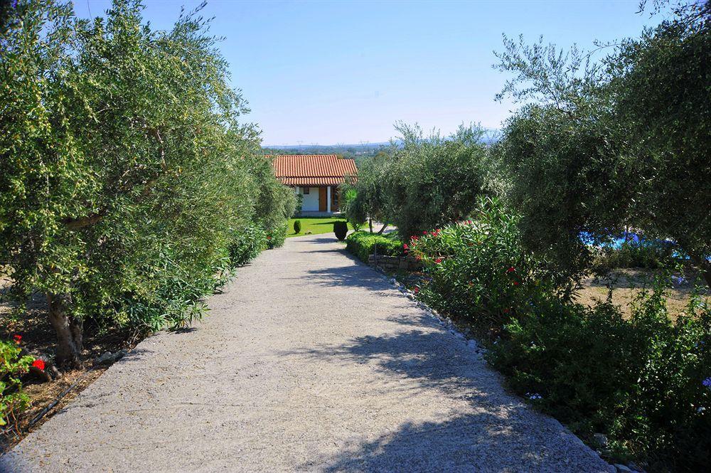 Lefkothea With Large Private Pool Villa
