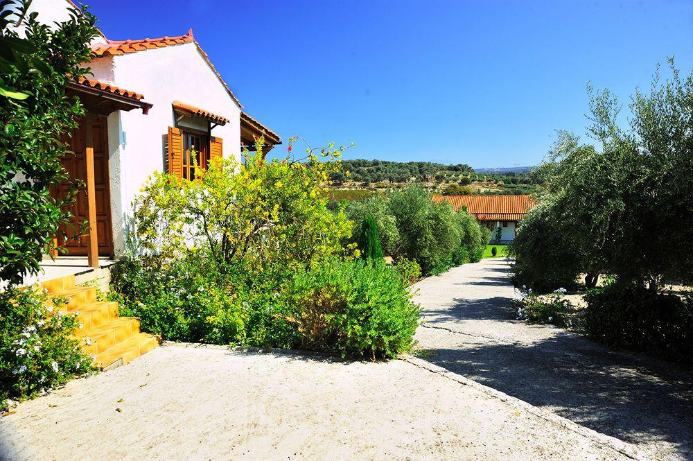 Lefkothea With Large Private Pool *