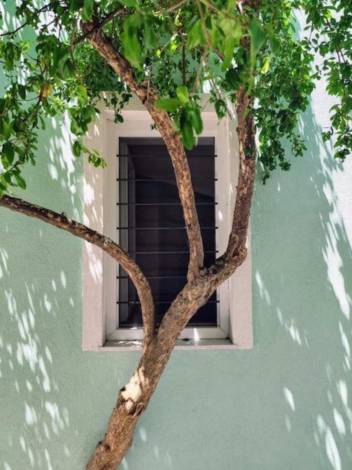 Filip And Myrsinis House - Holiday home *