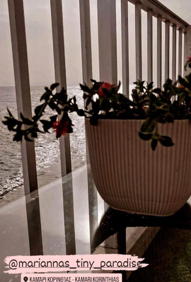 Mariannas Tiny Paradise Apartment *