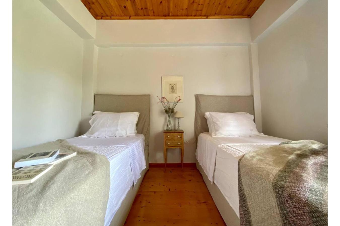 Apartment 4-bdrms Bright *