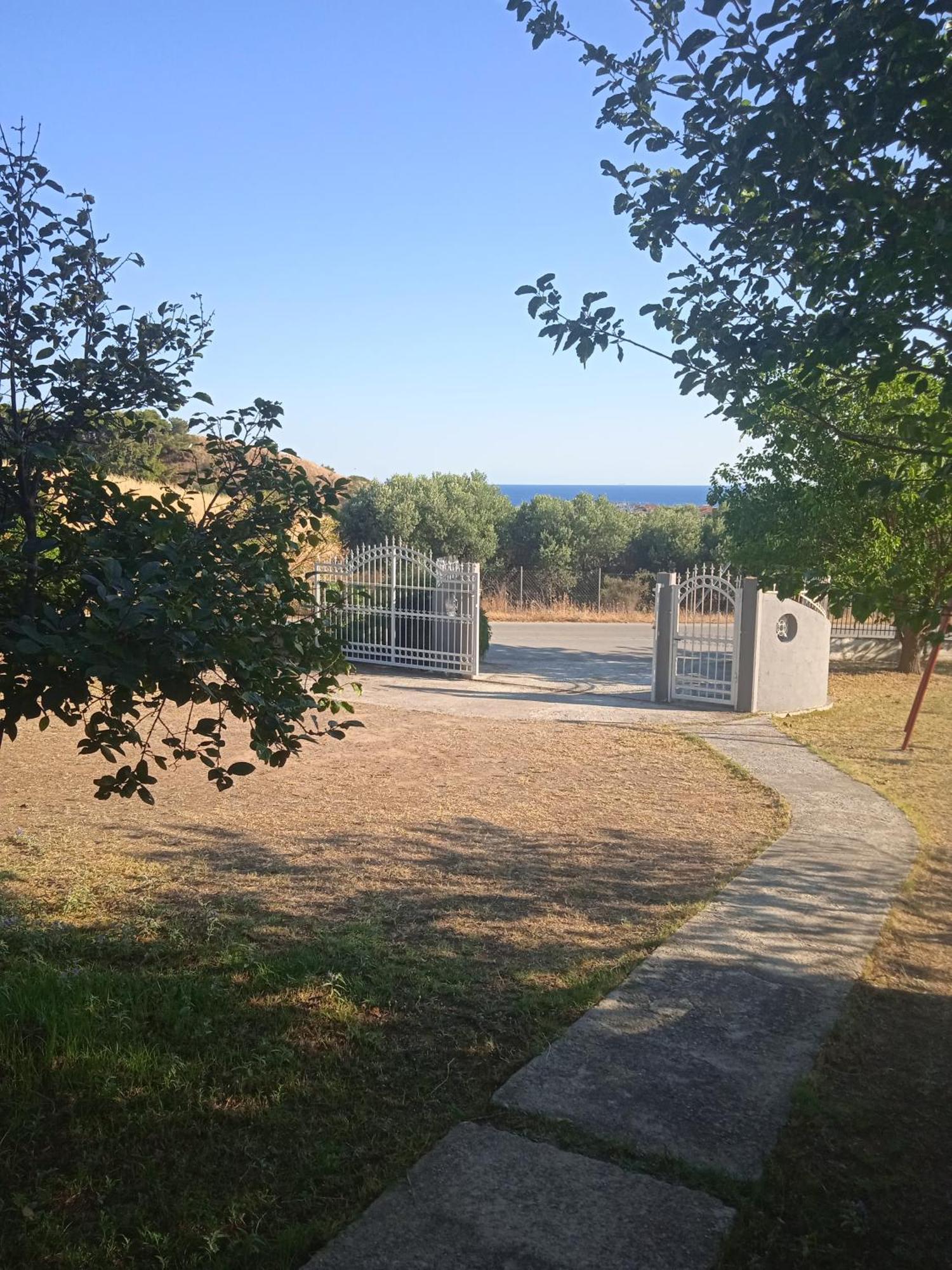 Belvedere Flogita