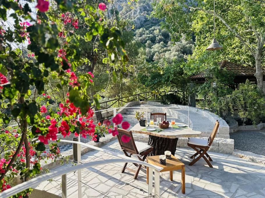 Elia Junior In Epidavros With Shared Pool Nea Epidavros