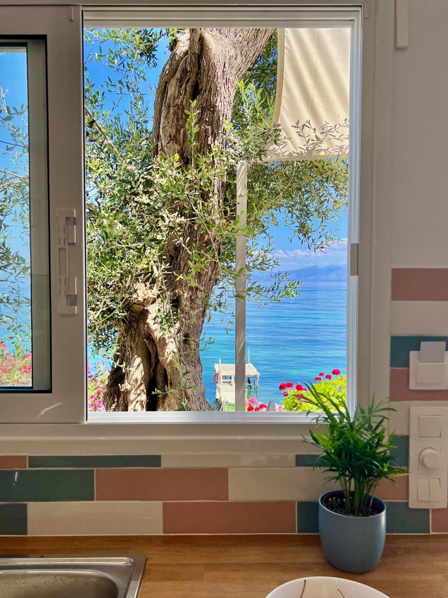 Kohyli Boutique Apartment