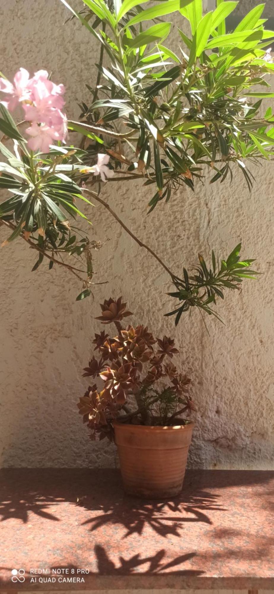 Kriti Agia Galini (Crete)