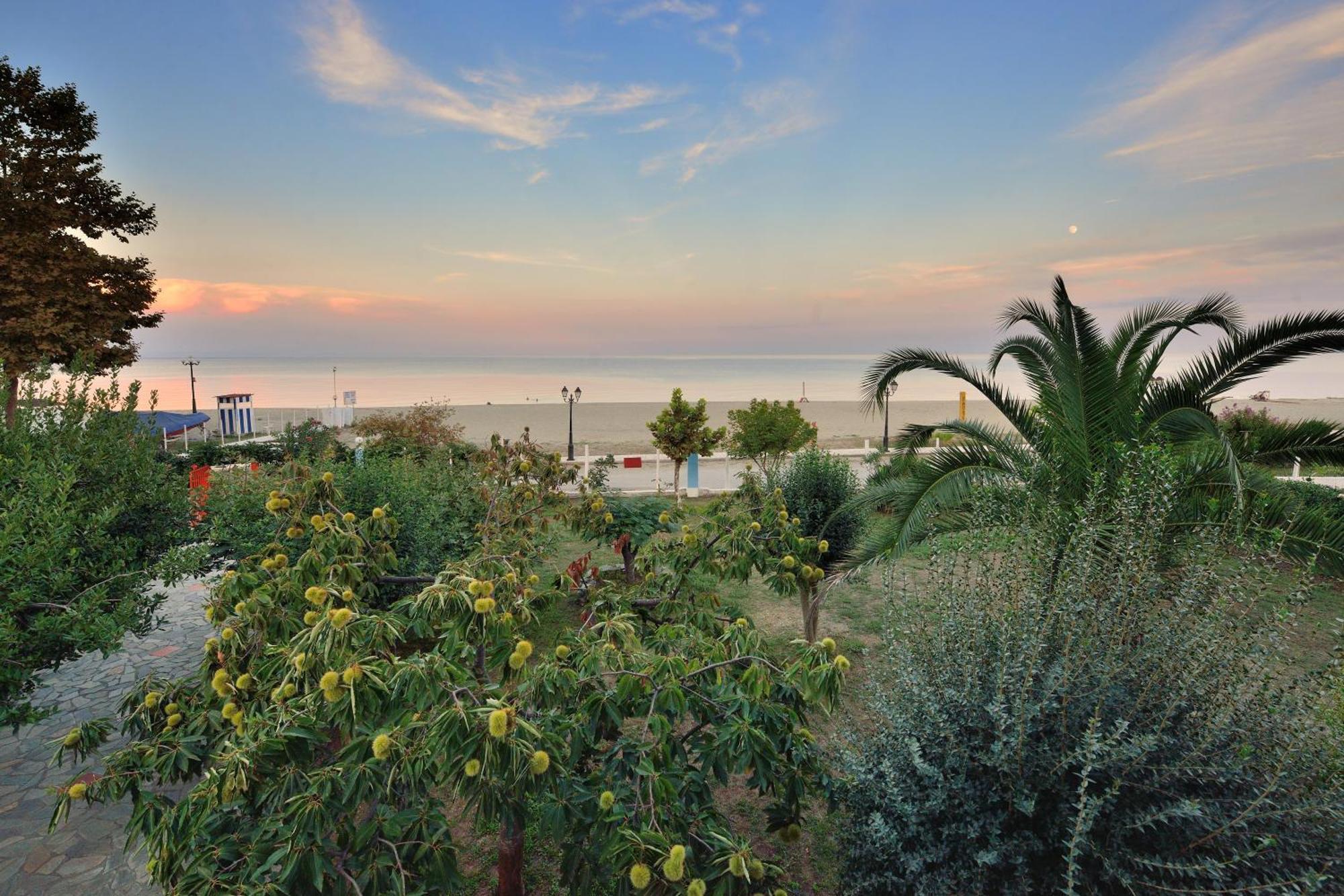 Apartment Ziogas Paralia Skotinis