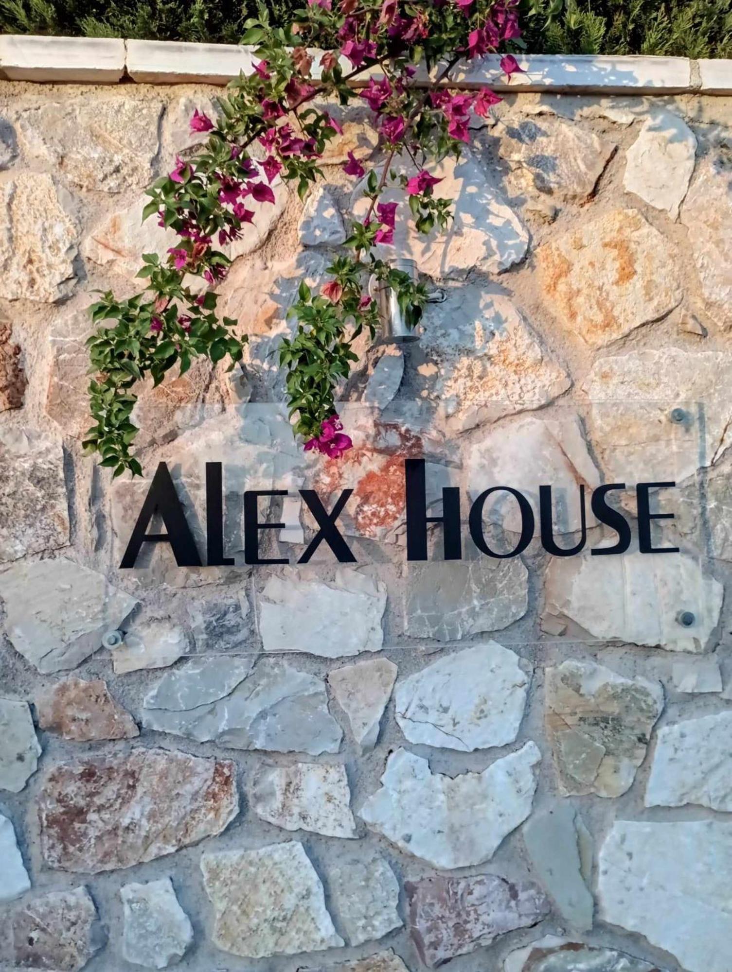 Aparthotel Alex House