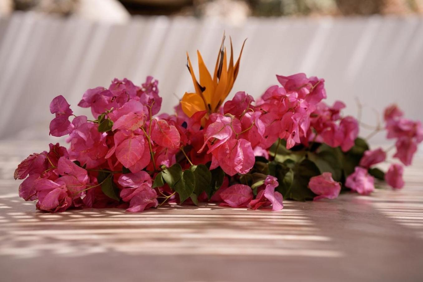 Sorriso - Beach, Seaview, Pool * Plaka (Naxos)