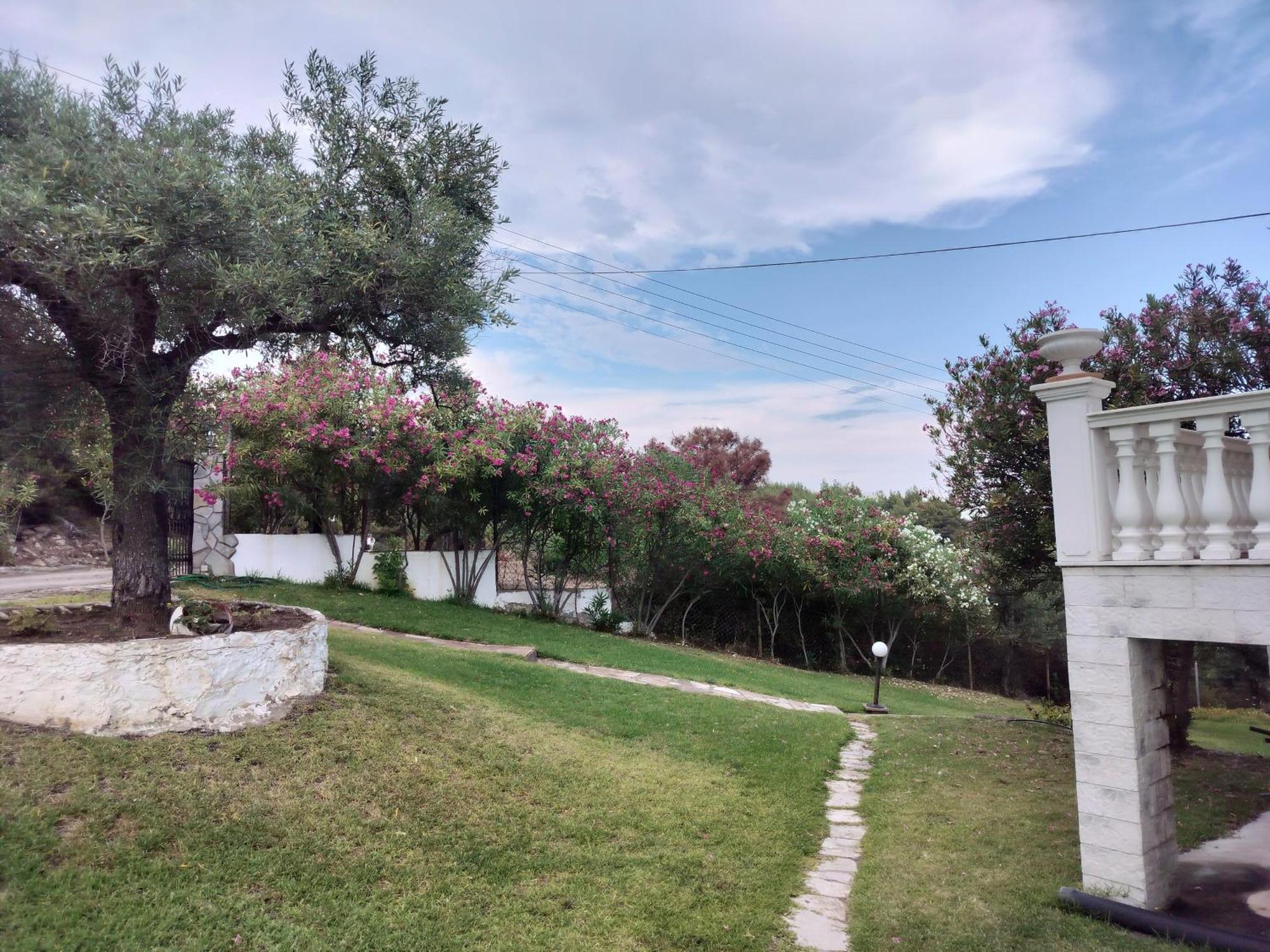Althea One - Lux Private House