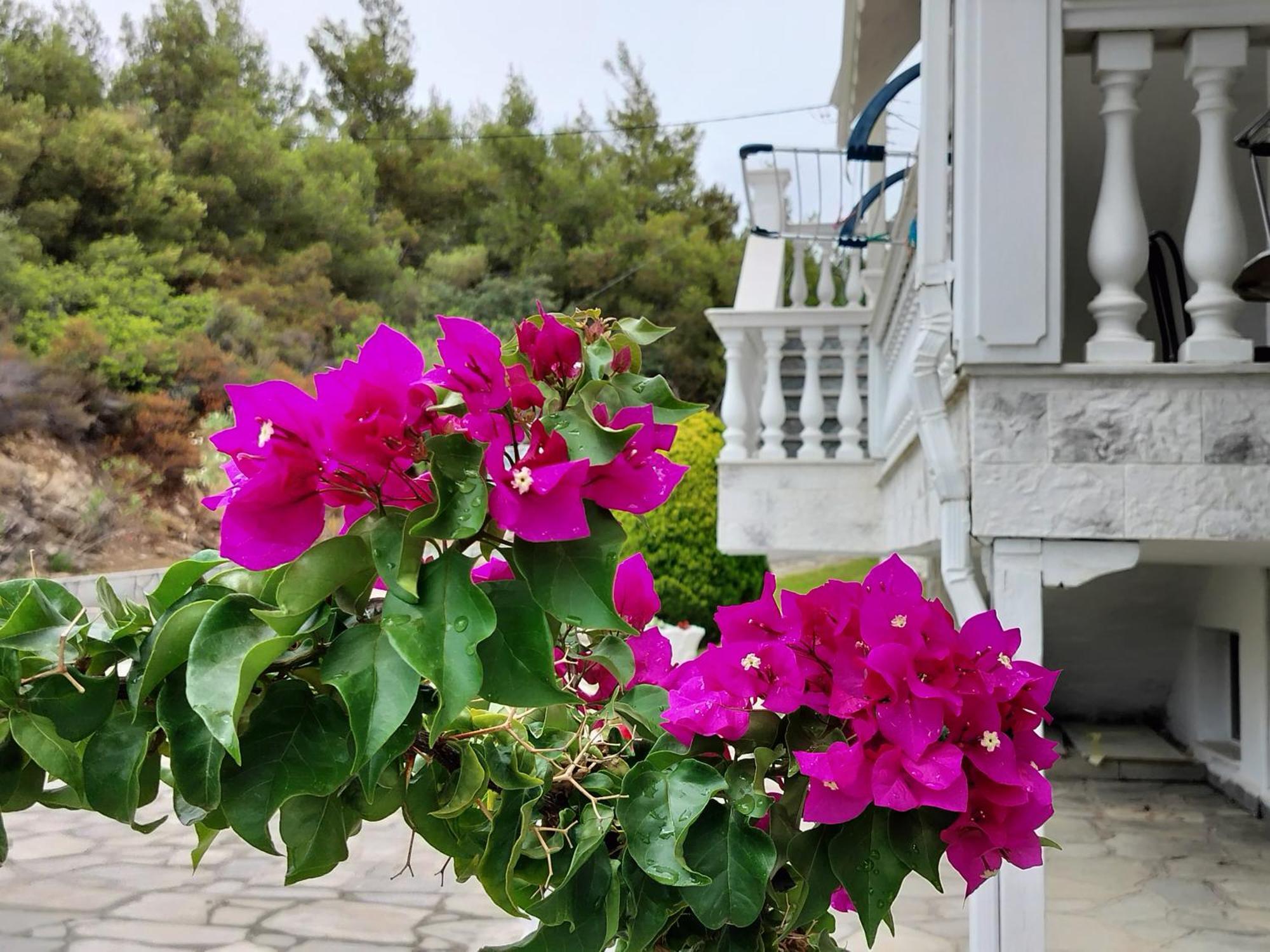 Apartment Althea One - Lux Private House Akti Salonikiou