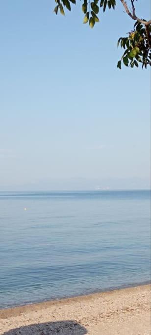 Pomegranate Seaside Corner *