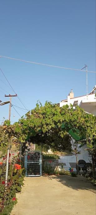 Pomegranate Seaside Corner Fanarion