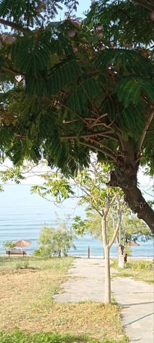 Pomegranate Seaside Corner