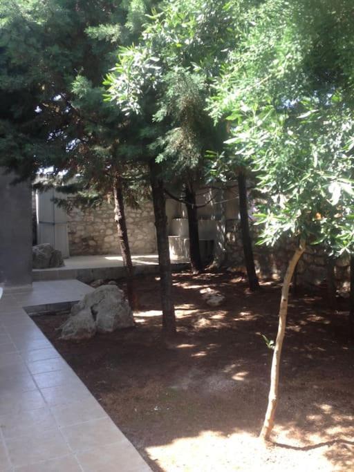 Spacious With View 10 Mins Walk To The Villa