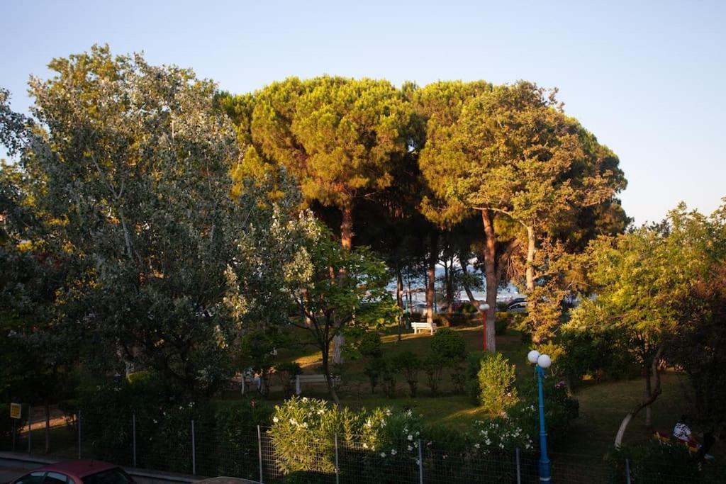 Apartment Morning Glory Paralia Katerinis
