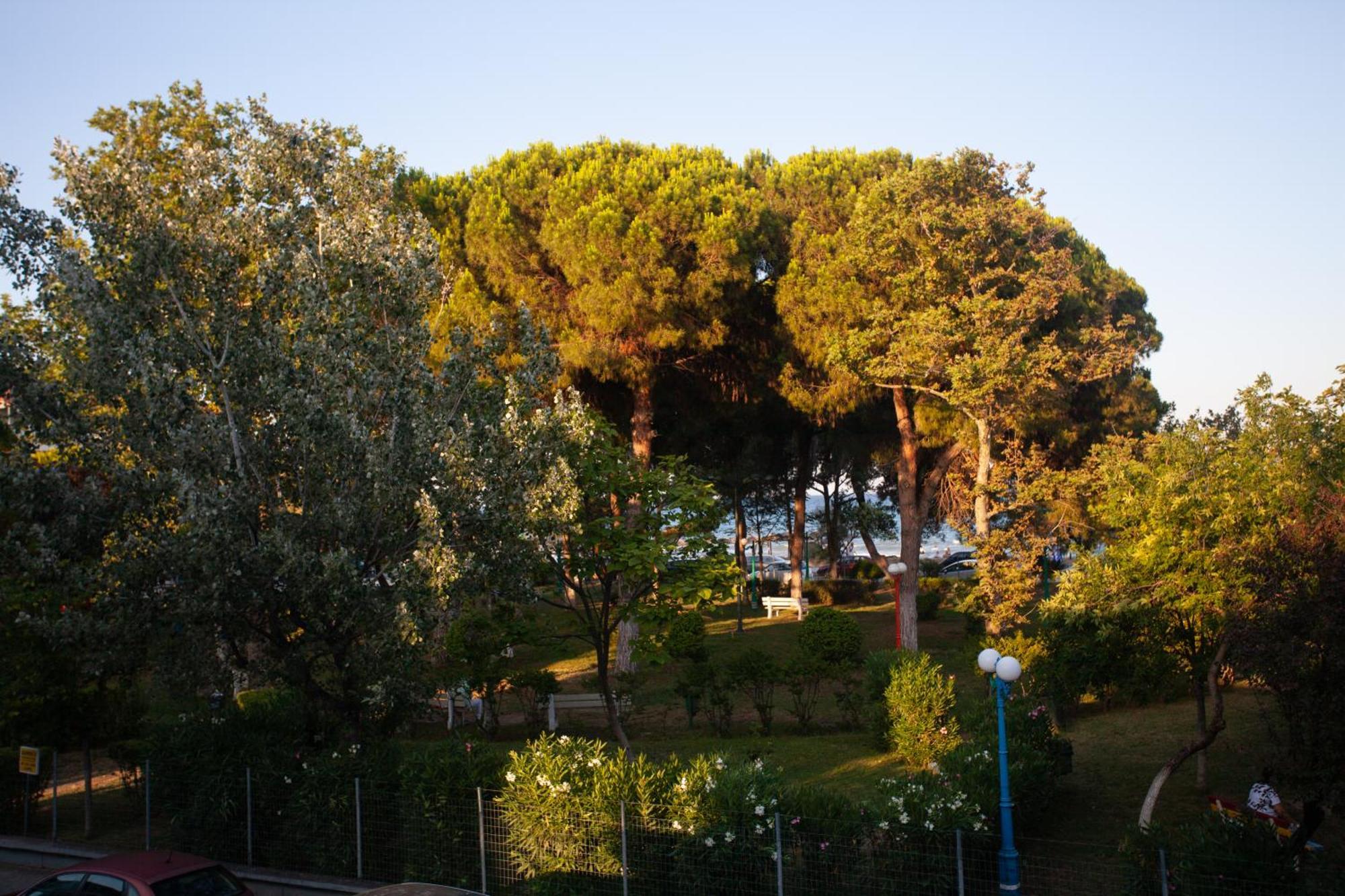 Morning Glory Paralia Katerinis