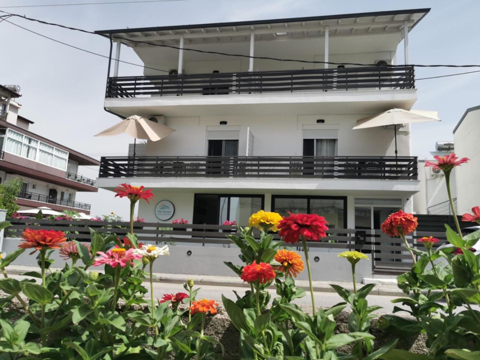 Olympia Guest house *
