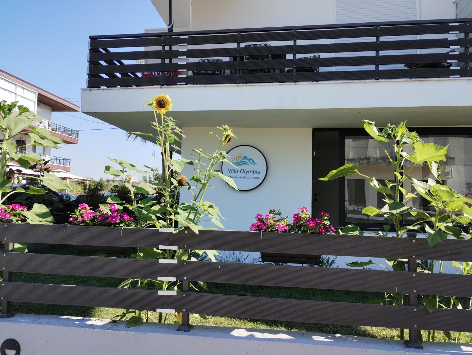Guest house Olympia *