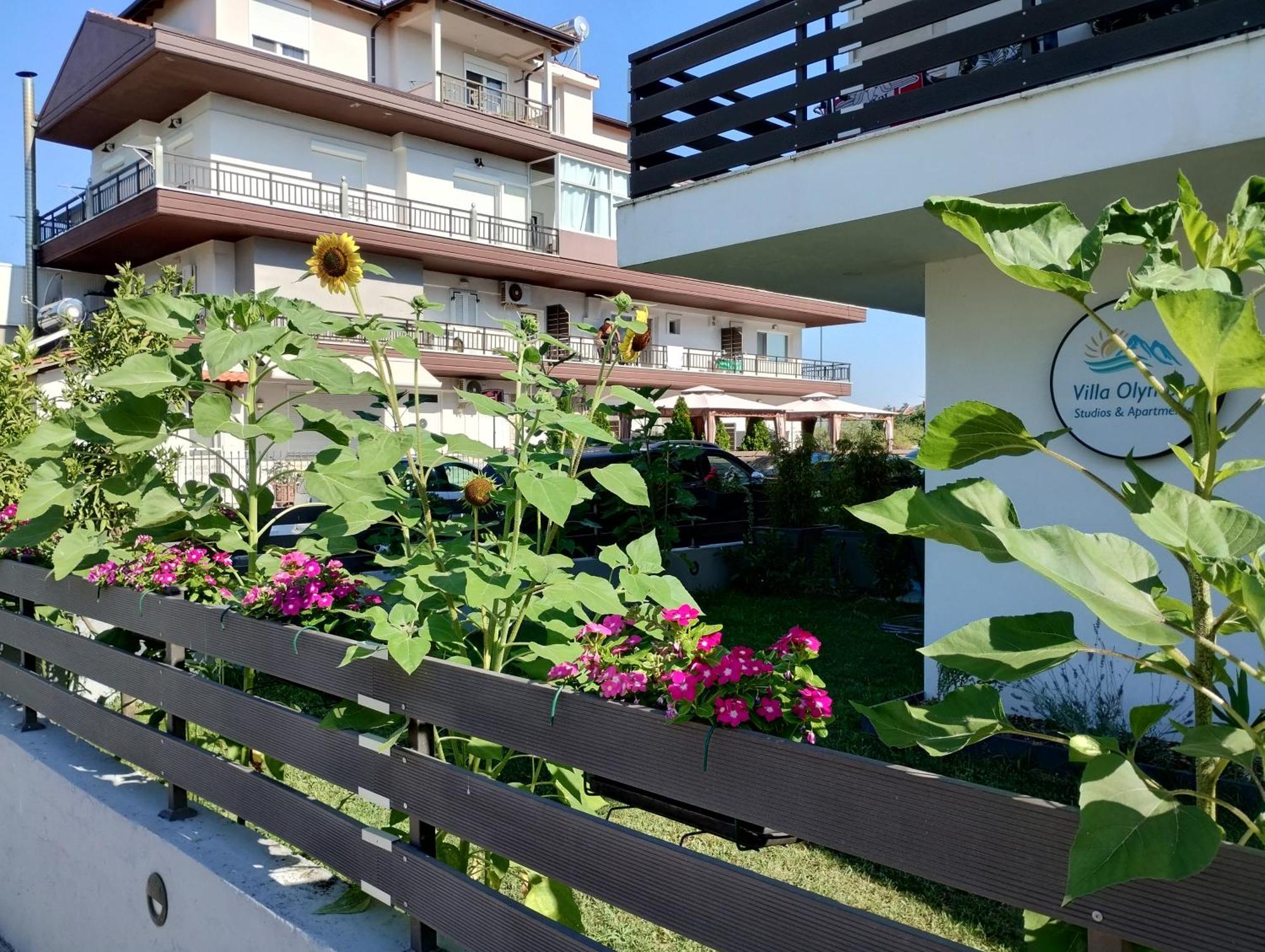 Olympia Guest house Paralia Katerinis