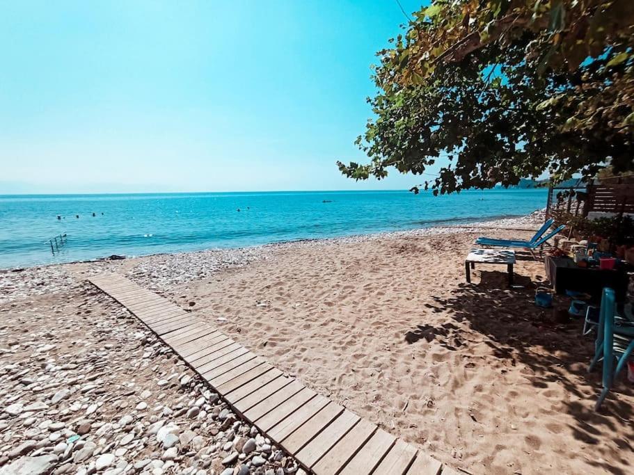 Agios Andreas