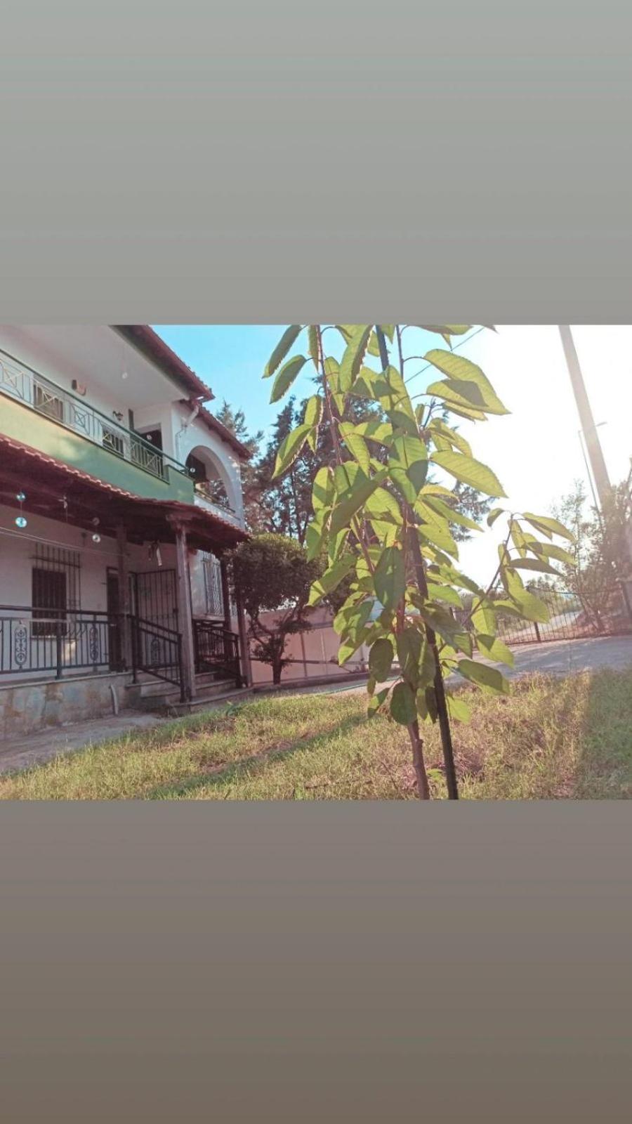 The Emerald Lopi, 2km From Ammolofoi Beach! The Kept Secret In Nature, Of Holiday home
