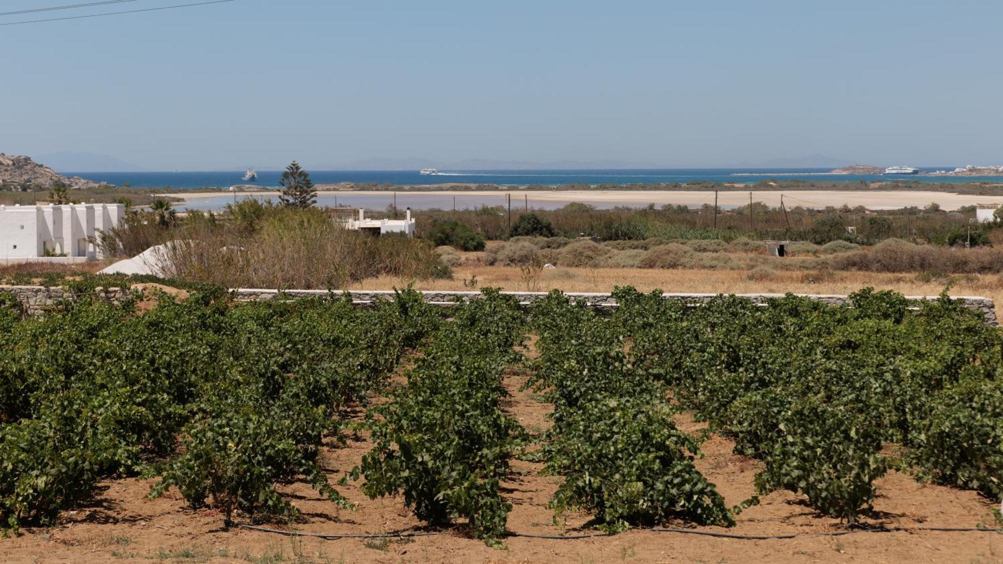 Velonis With Private Pool And Sea View Villa Agia Anna (Naxos)