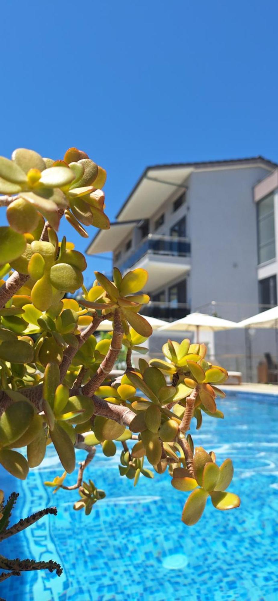 Hotel Thea Sarti