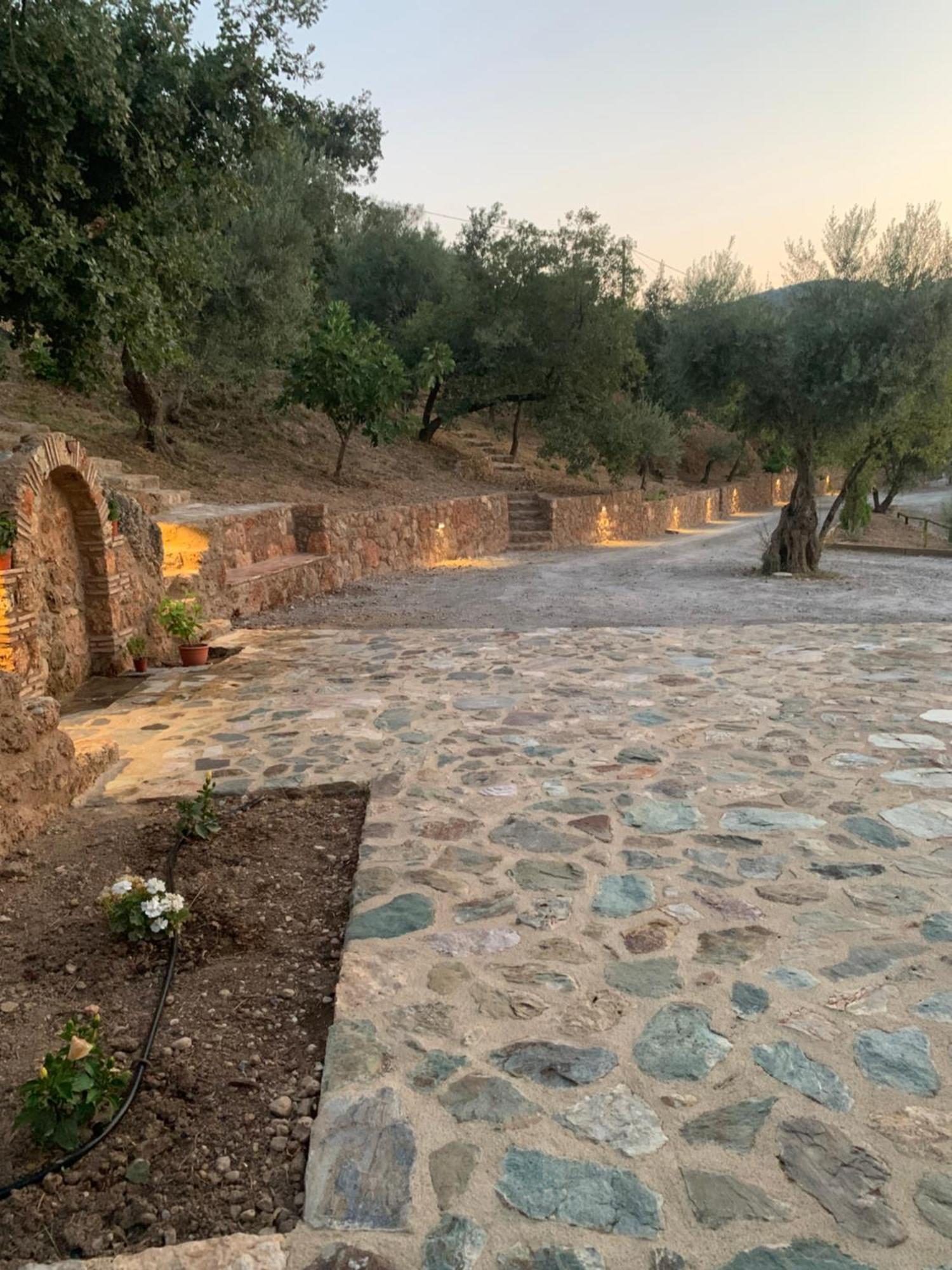 Olive Guest Farm * Akrata