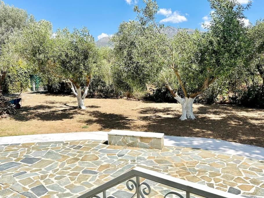 Villa ᑕyᑕᒪᗩᗪiᑕ ᐯiᒪᒪᗩ Eretria Athens