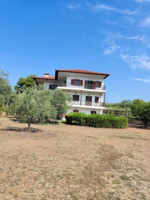Apartment Old Olive Trees 50 M2, 2 Bedrooms, Sea View *