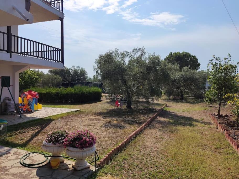 Old Olive Trees 50 M2, 2 Bedrooms, Sea View * Psakoudia
