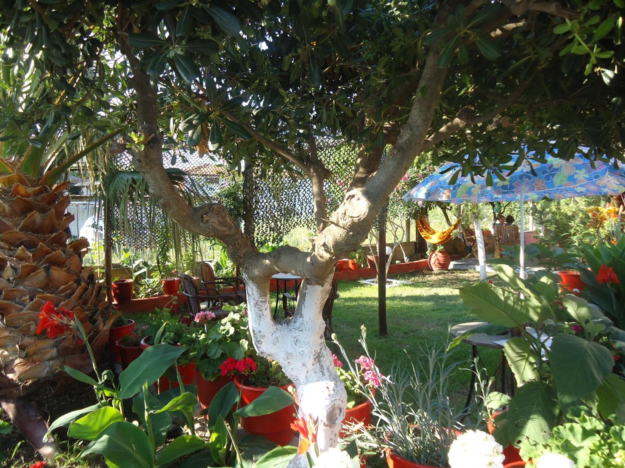 House Souzanna Apartment