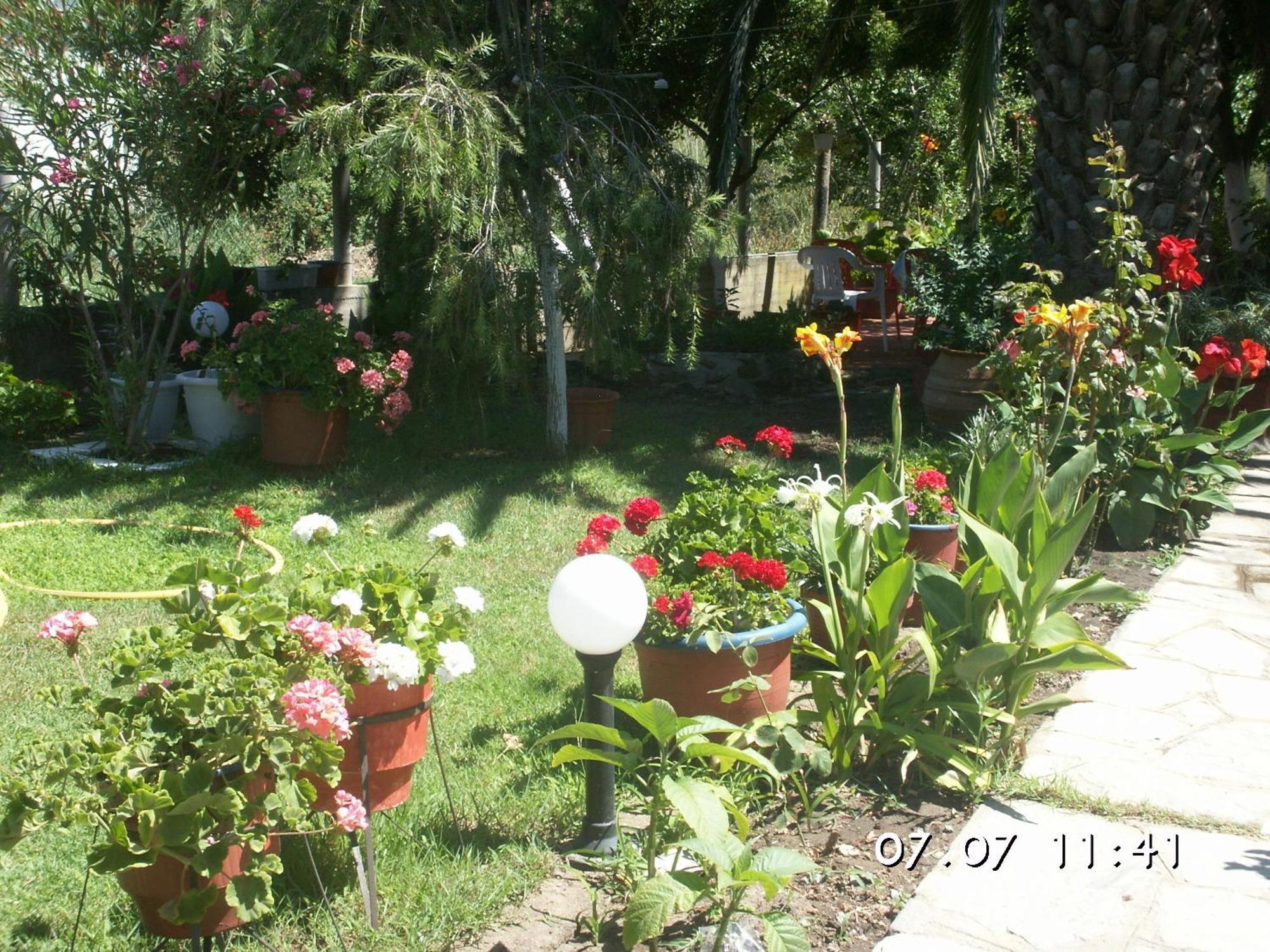 House Souzanna *
