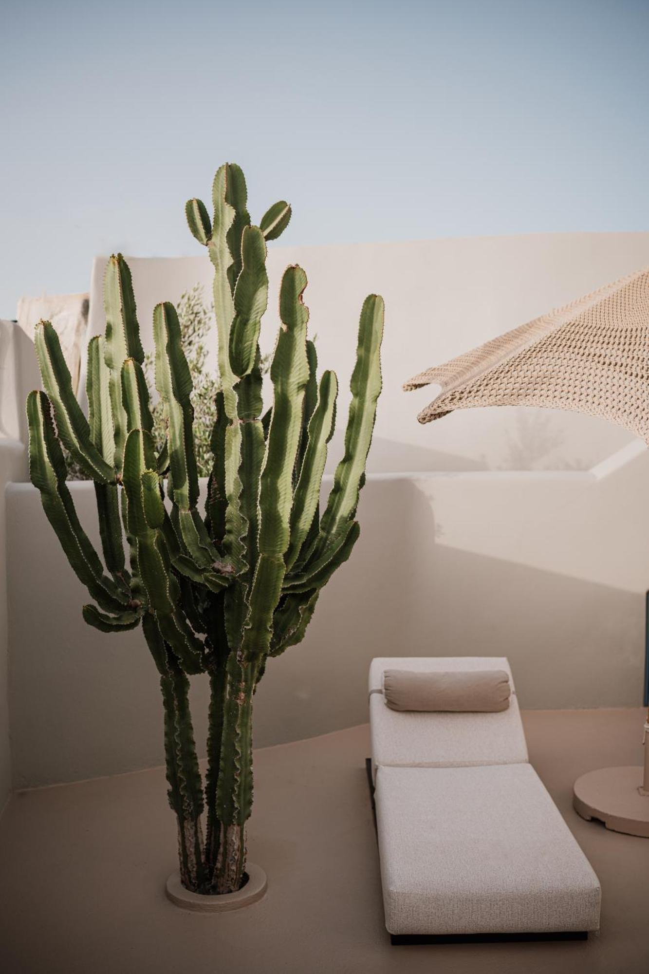 Apartment Luna Santorini