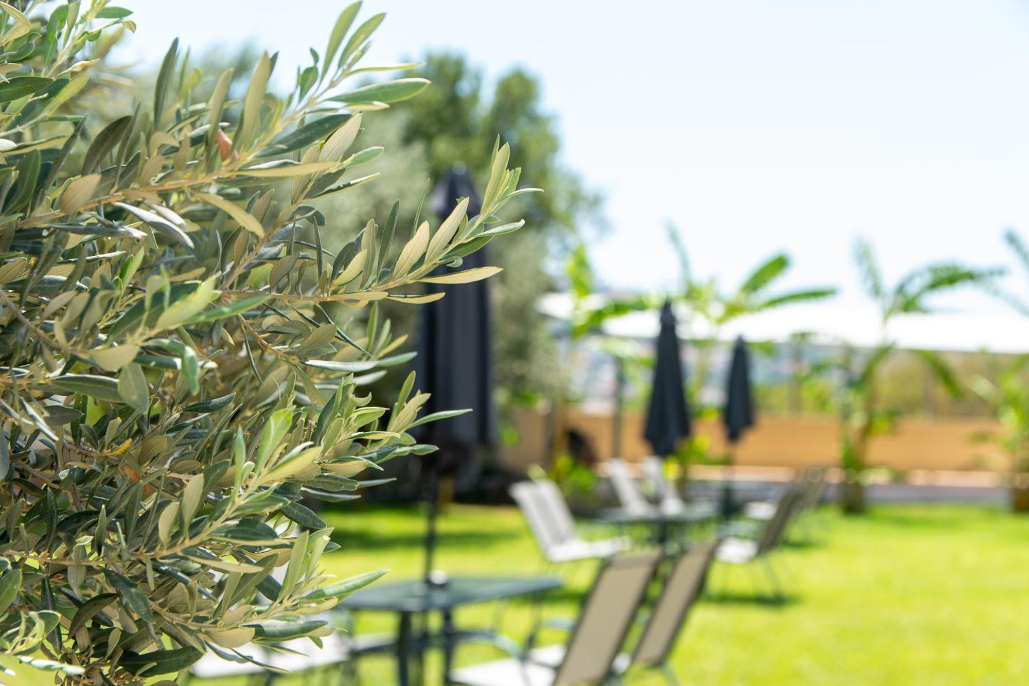 Airscape Free Shuttle From Athen's Airport Hotel