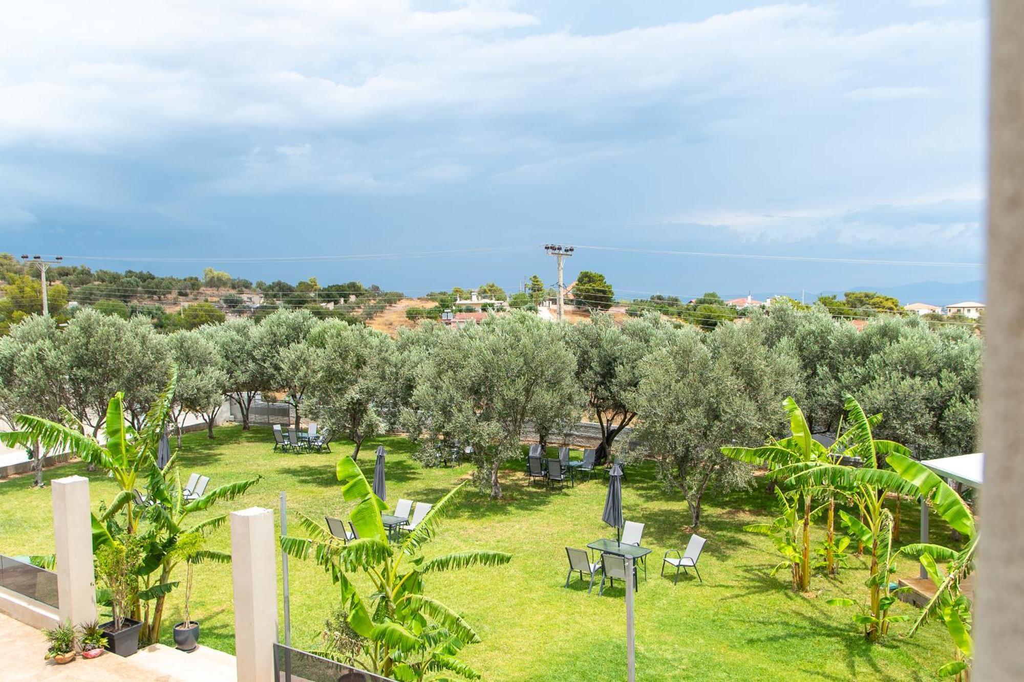 Airscape Free Shuttle From Athen's Airport Hotel Artemida (Attica)