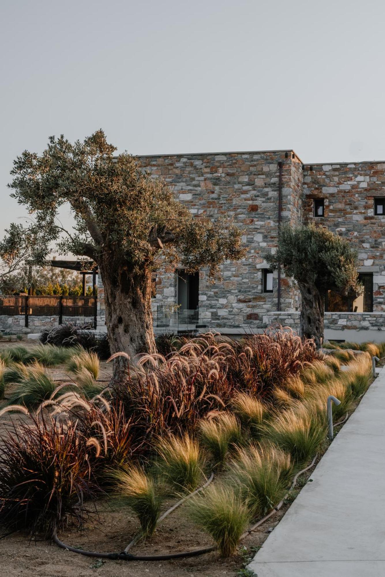 Onym Curated Plaka (Naxos)