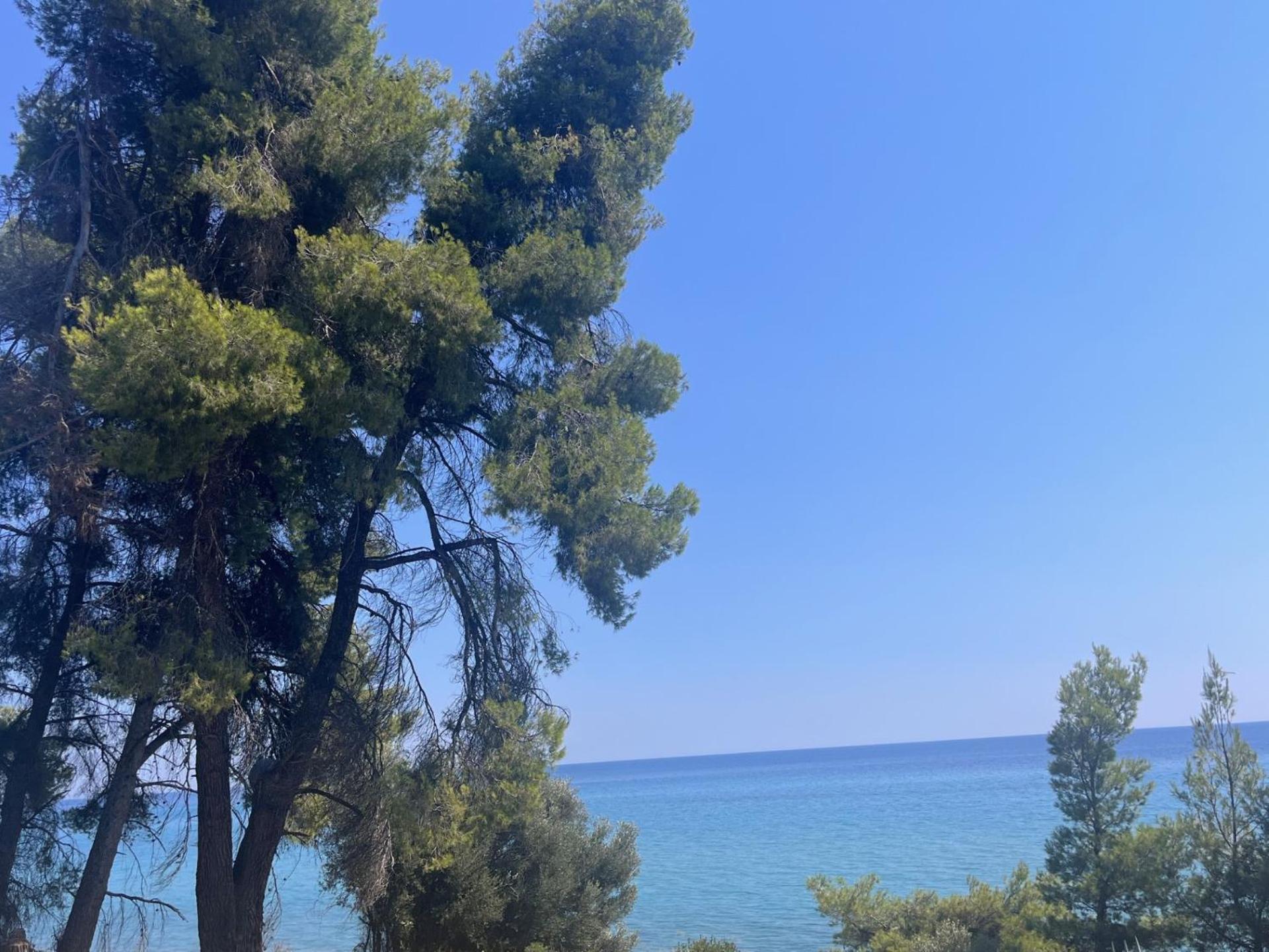 Kaloutsikos Sea View House * Mola Kalyva