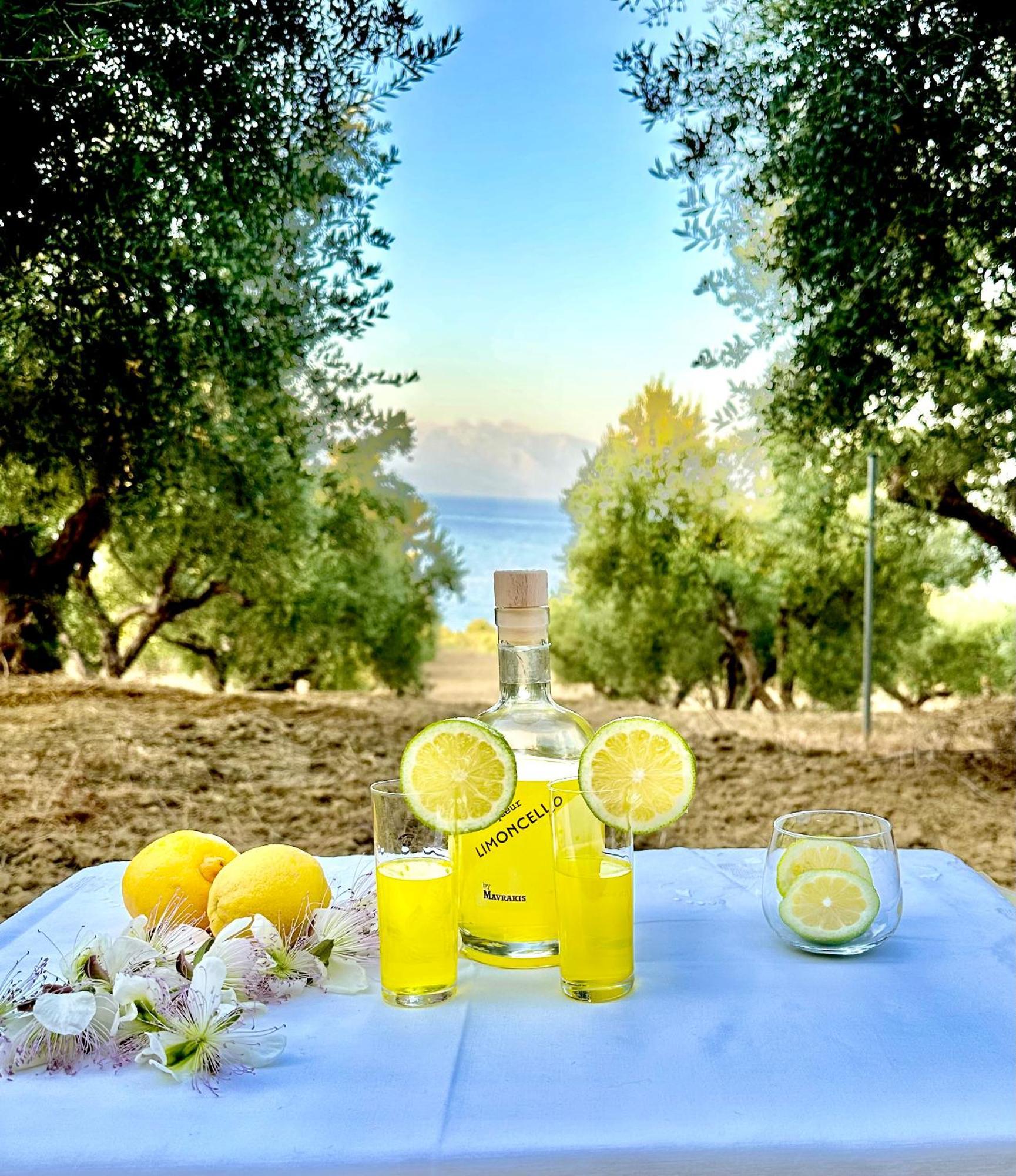 Elaias Thea Sea View Koroni (Messinia)