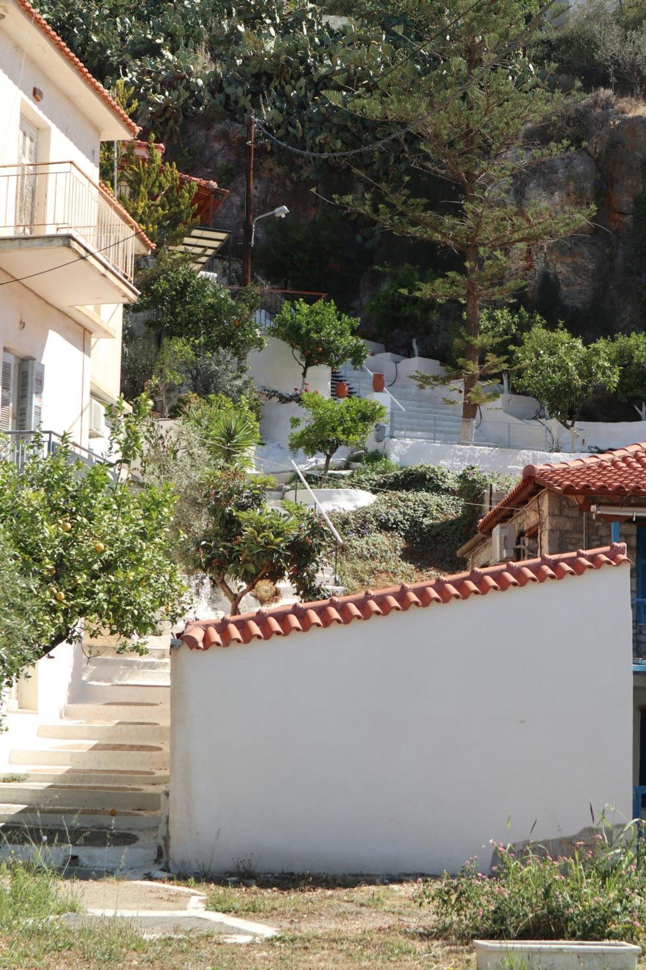 Arokaria *