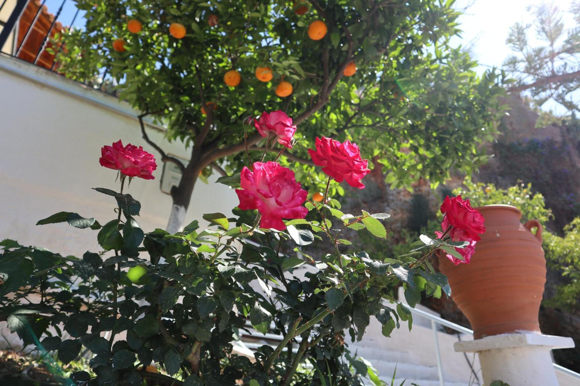 Holiday home Arokaria *