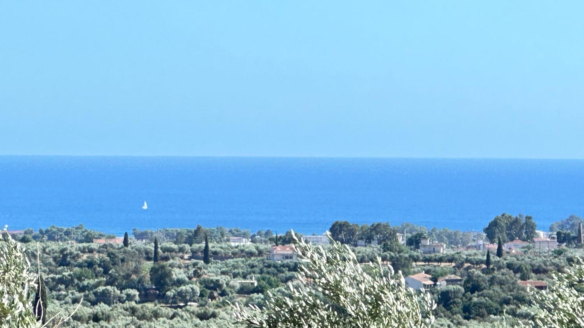 The Secret Garden At Georgia Kalamata