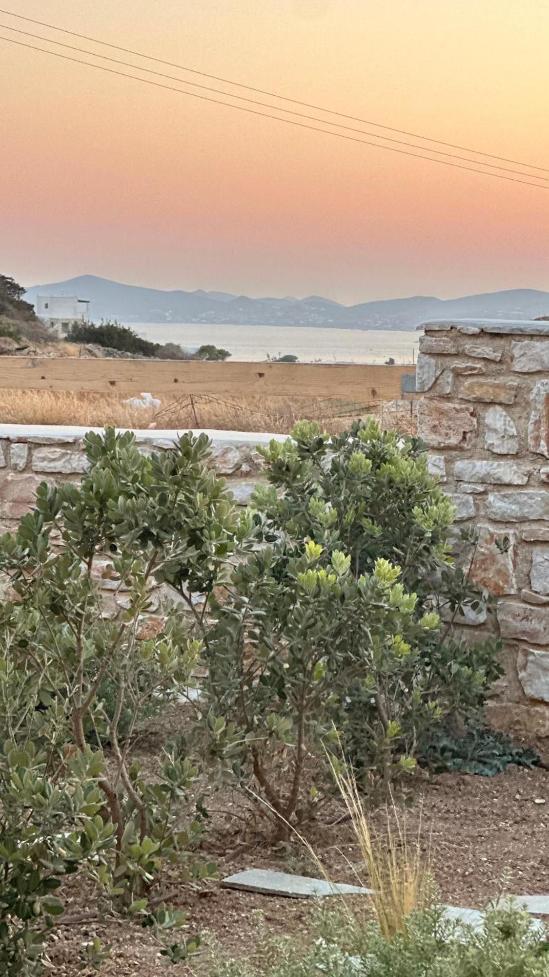 La Maison * Parikia (Paros)